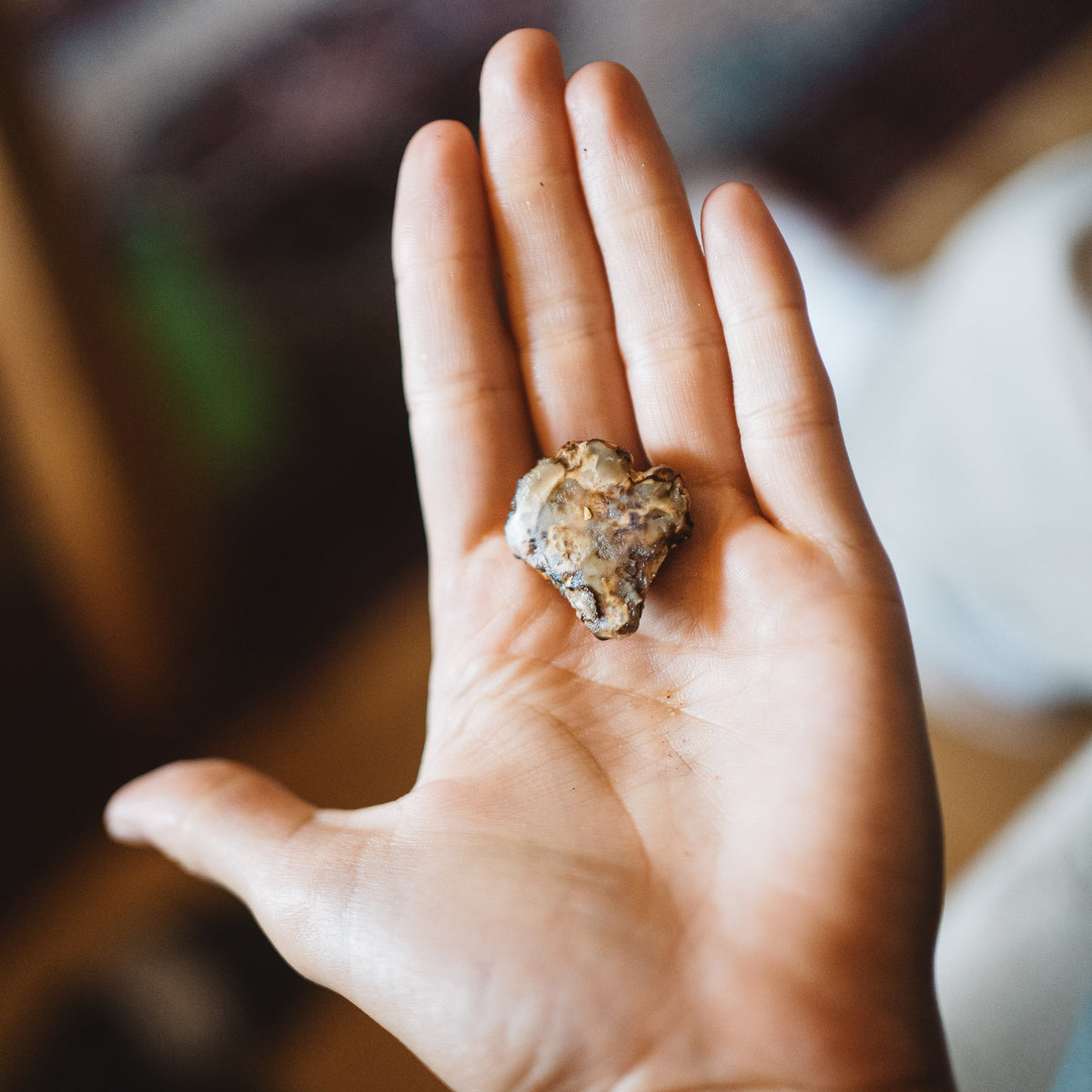 happy truffles