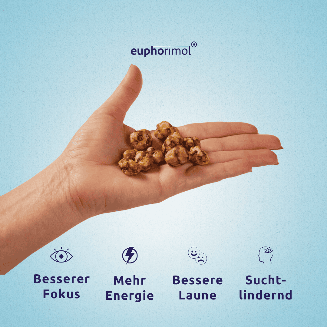 Vorteile Psilocybin Trüffel Euphorimol